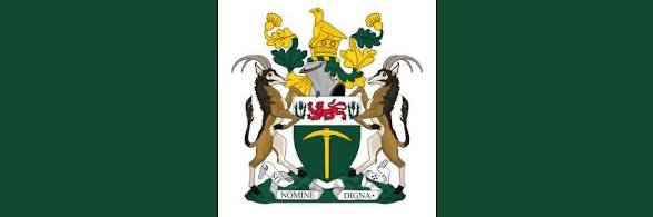 Randy “Big Boy” Johnson III banner