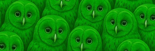 mstrowl Profile Banner