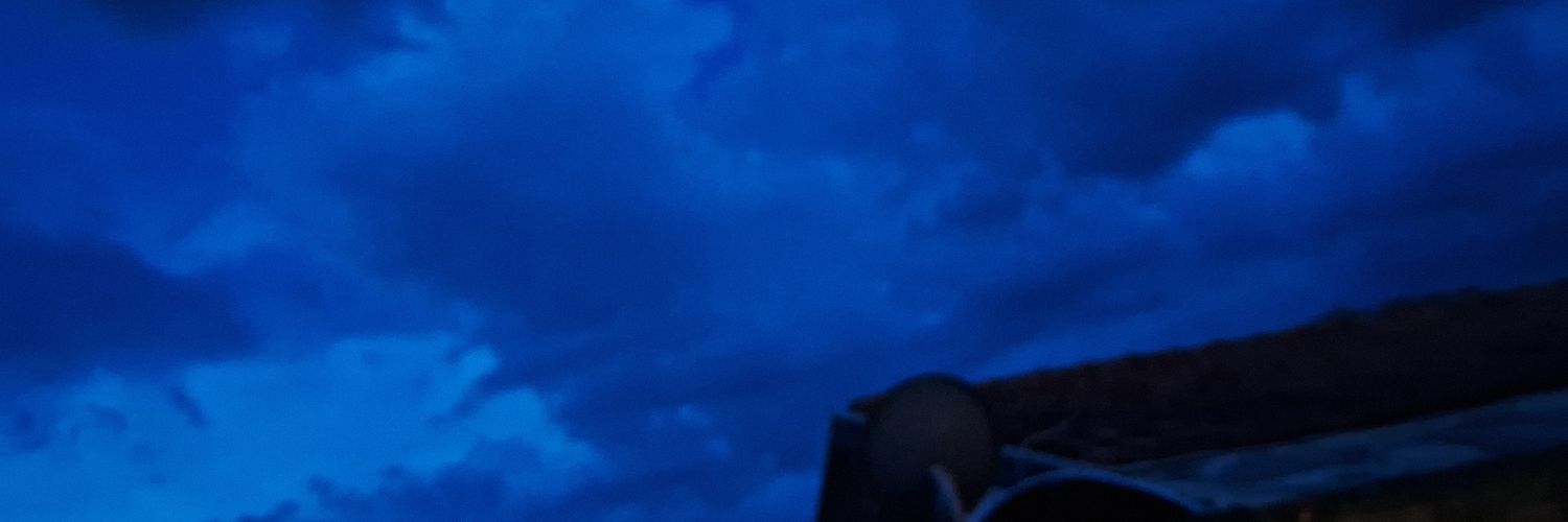 alc0olique's profile banner image