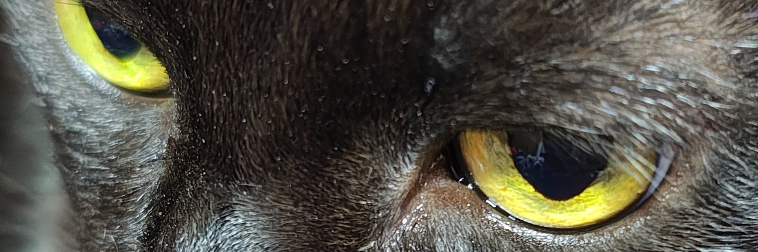 alineegv's profile banner image