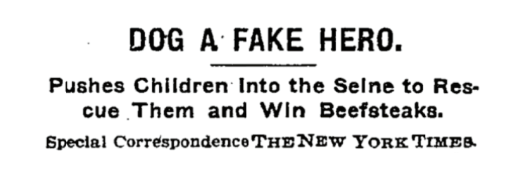 Ryan Anderson banner