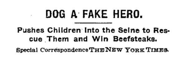 gtryan Profile Banner