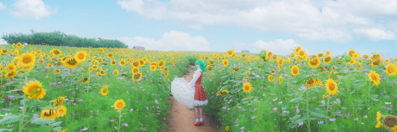 화란🌺's banner