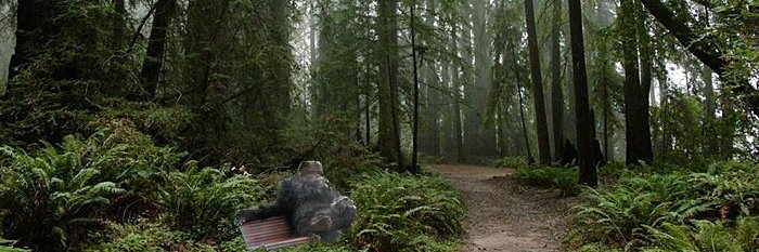 Bigfoot Monday's banner