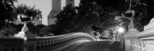 DrMichaelScoma Profile Banner