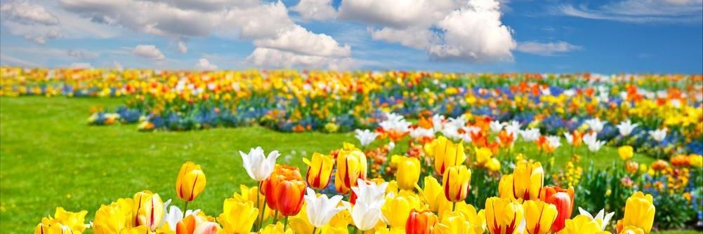 مهاجر .... banner