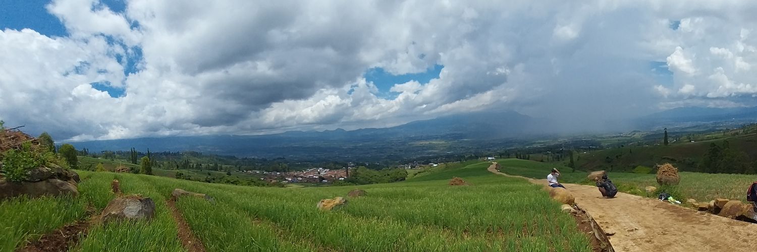 tediku's profile banner image