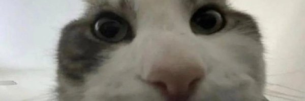 _gijsdj Profile Banner