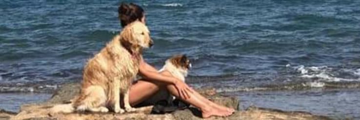mariacm33's profile banner image