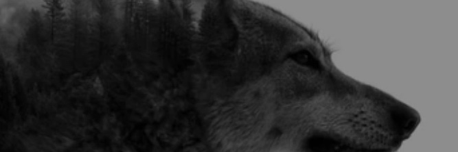AnonymousDOOM banner