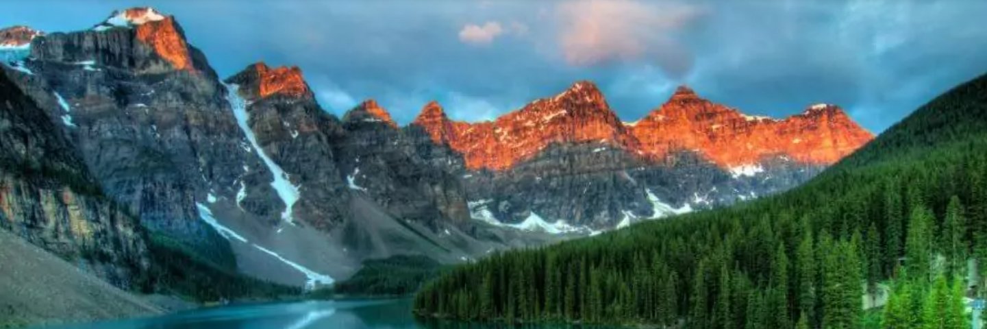 Trooperstocks banner