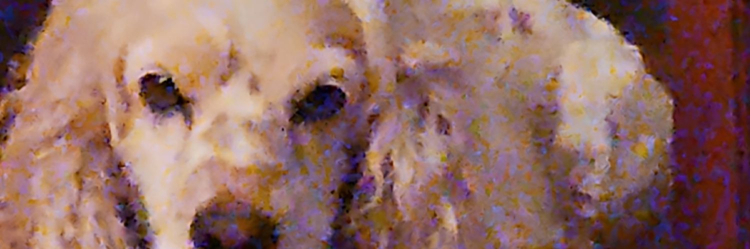 CoopersDad's banner