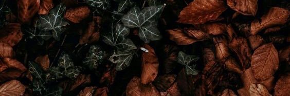 Naldö✨👽 banner