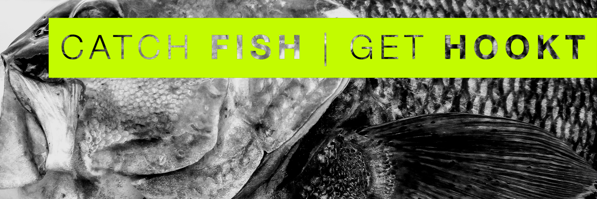 HooktFishing's profile banner image