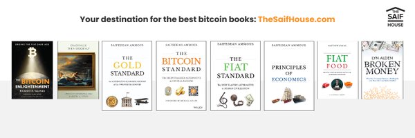 saifedean Profile Banner