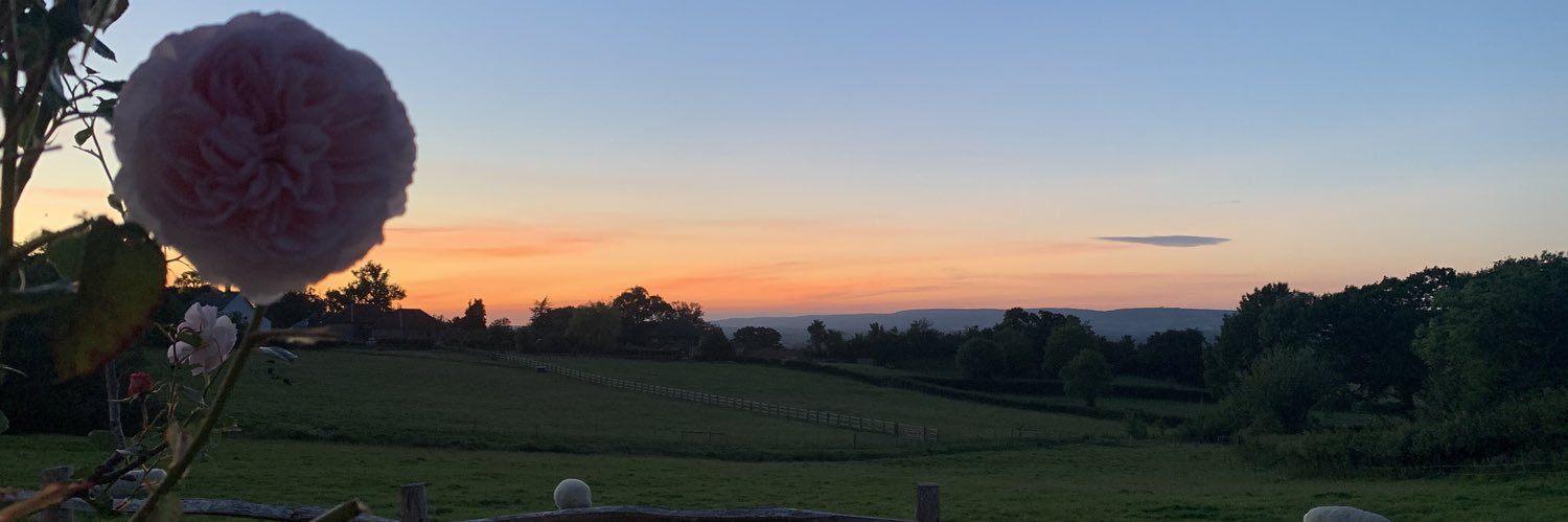 Emsleigh's profile banner image
