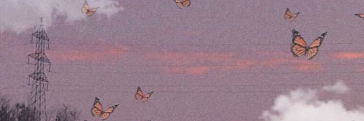 ingesurina's profile banner image