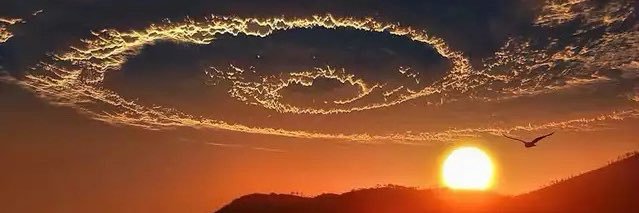 Steven Thomas🌵 banner