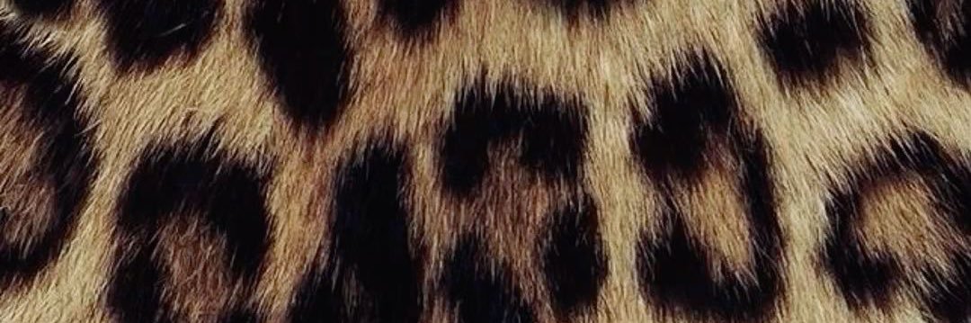 𝐛𝐚𝐛𝐲𝐬 banner