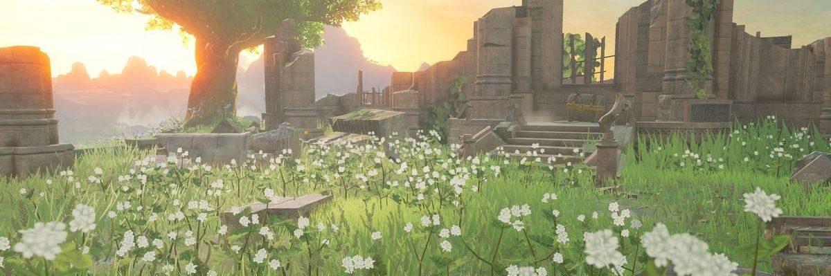 SomE banner