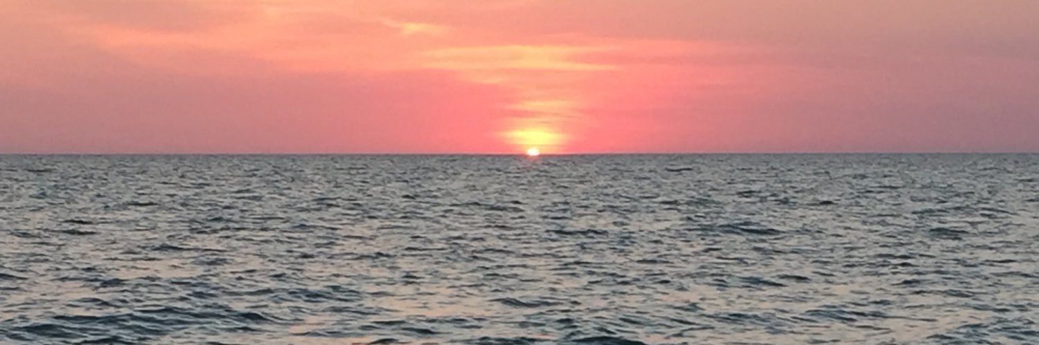 BethanyASimmons's profile banner image