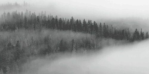 NichaelaSam's profile banner image
