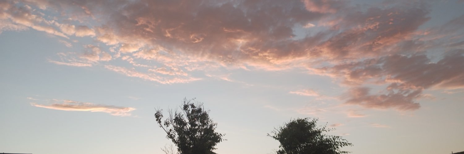 ameliaypui's profile banner image