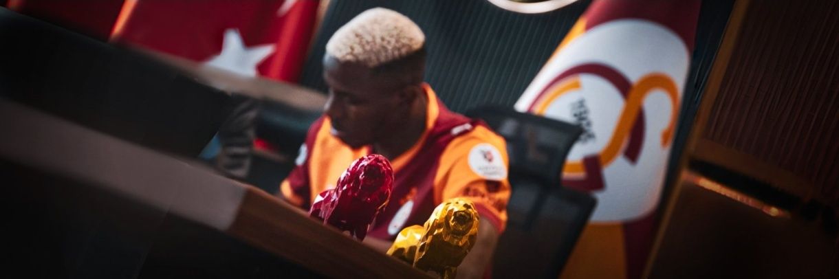 NİJERYA KAPLANI 🐯🇳🇬 banner