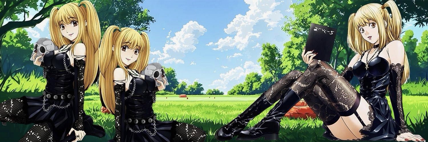 Bronwin Aurora banner