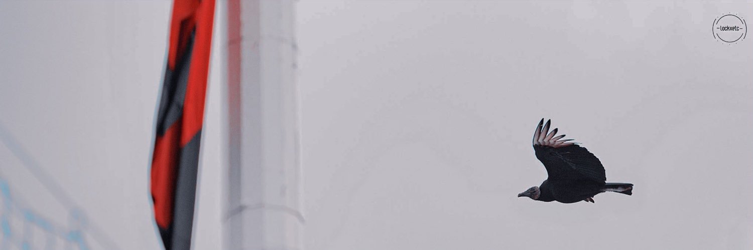 aviap banner