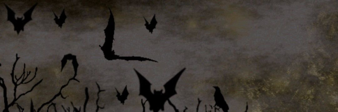 music enjoyer 🦇's banner