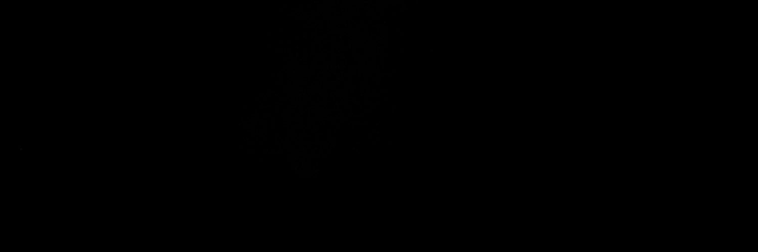 🇸🇴 banner