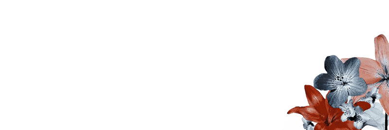 ᅟᅟᅟᅟ𝓐𝘜𝘙𝘖𝘙𝘈 、 ᅟ 🏶 ᅟᅟ banner