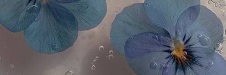 Addictedtonacks's profile banner image