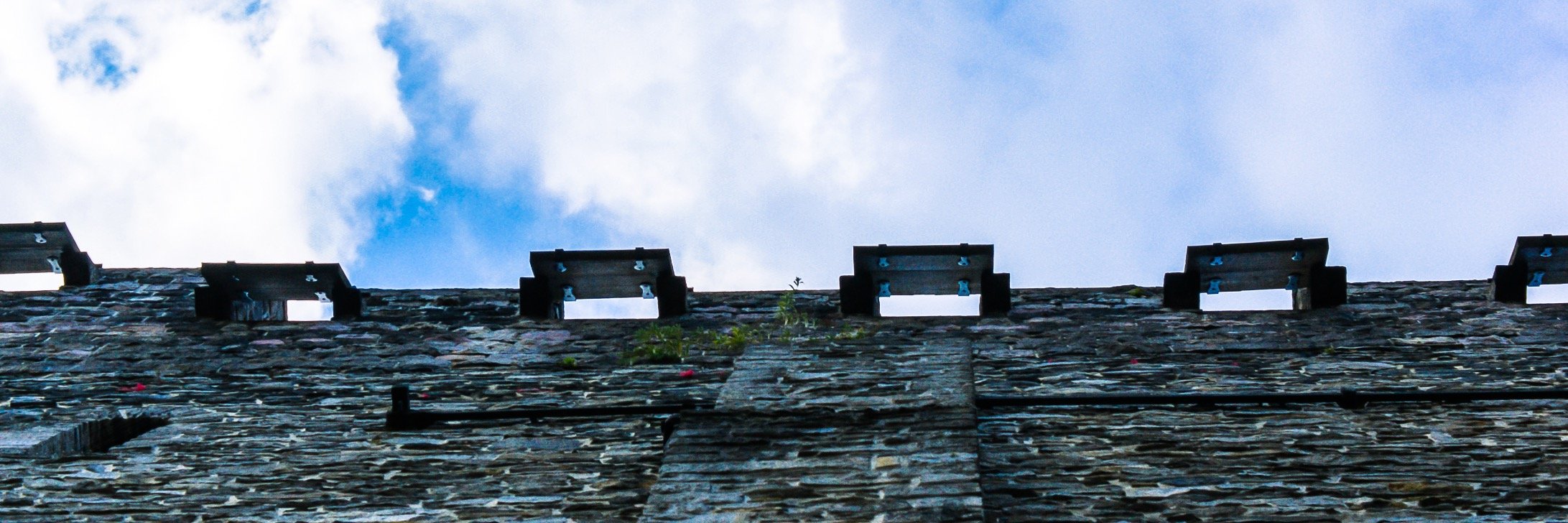 Sergiy Pudich banner