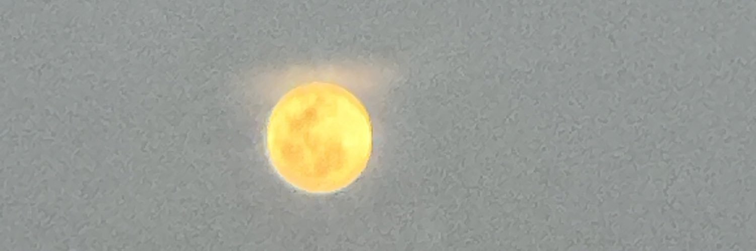 Niketas-Michael banner