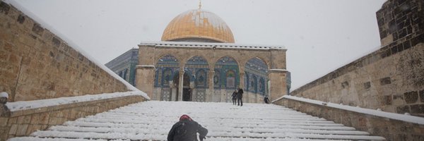 fahad_s_ali Profile Banner