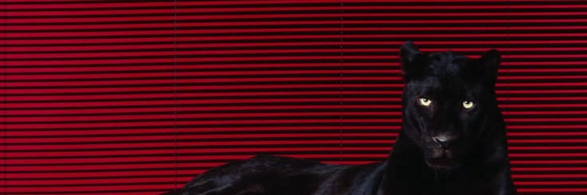 Mr00000000099's profile banner image