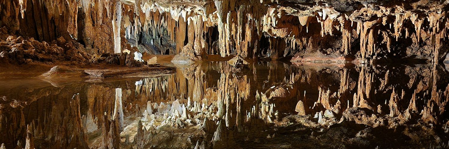 _Not_a_cryptid_ banner