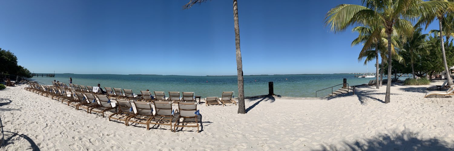 Rebecca Rutherford banner