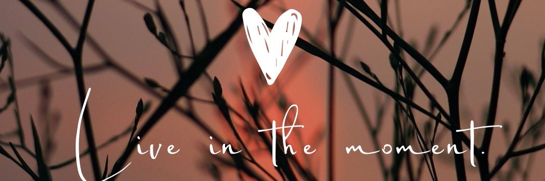 ∆ V E M ∆ R ī ∆ banner