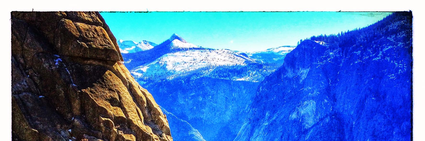 christine eaves banner