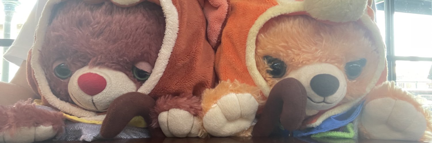 🦊みーのすけ🐱9日🌊10日🏰 banner