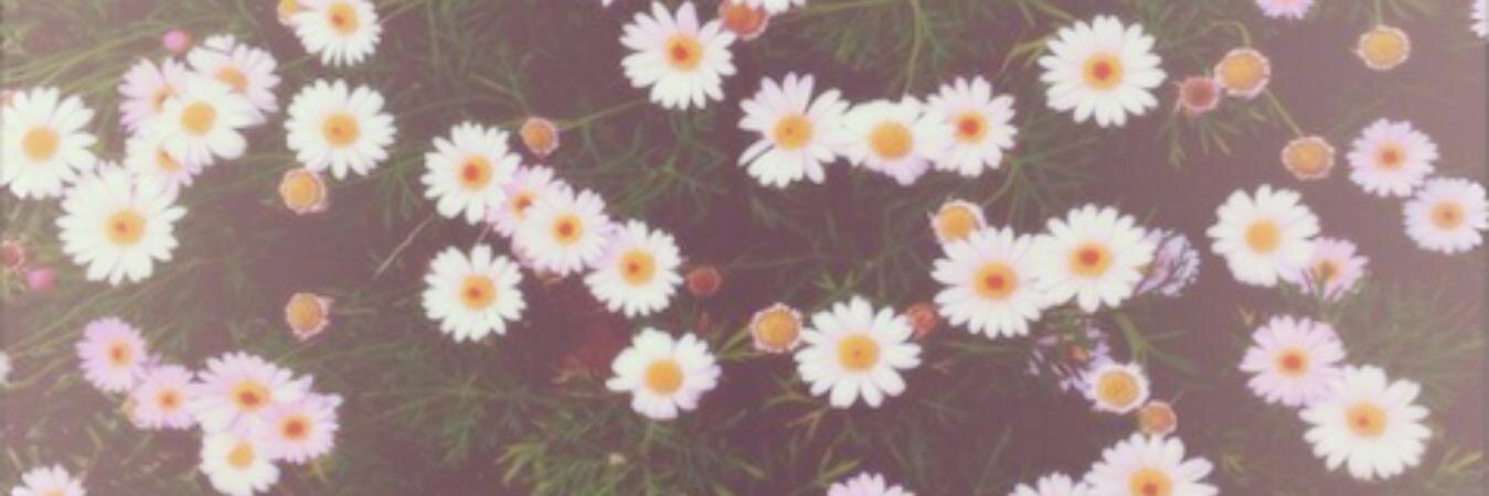Gemmaaa's profile banner image