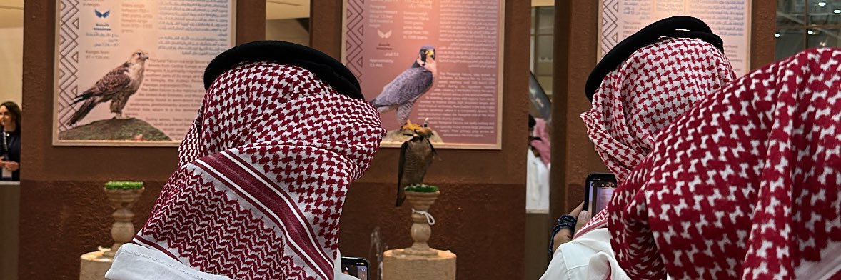 rawanalsaloo's profile banner image