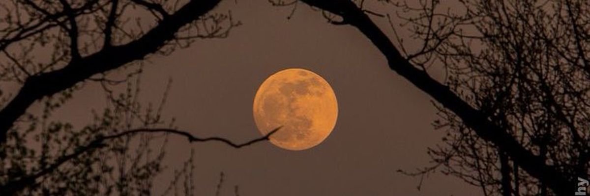 🍂🎃 banner