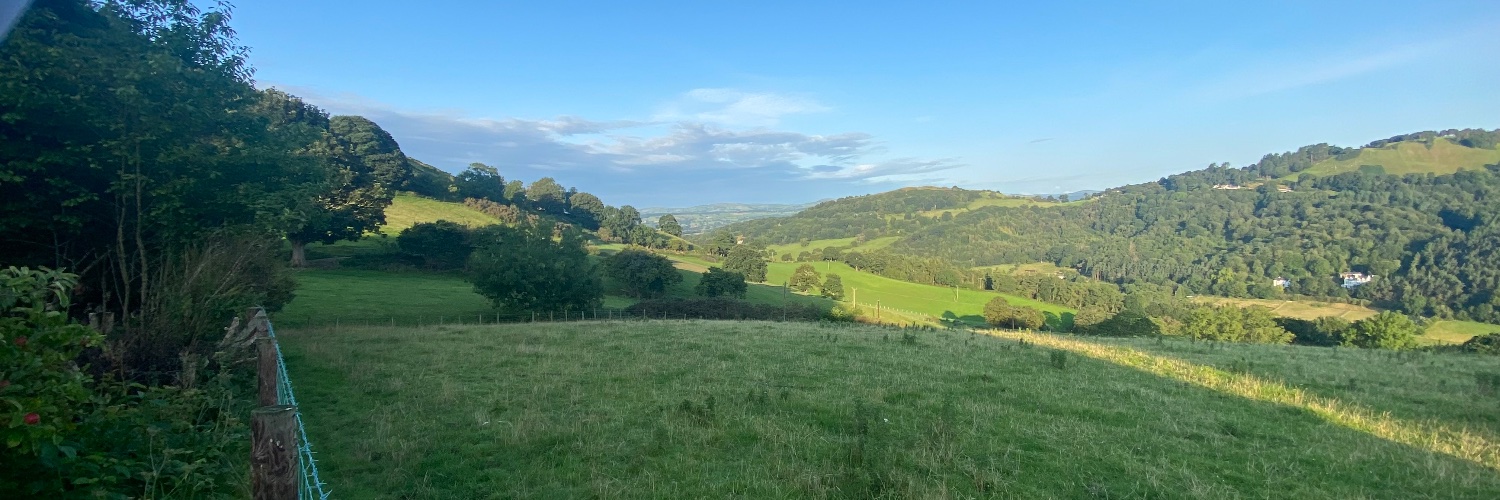 DiligentBadger banner