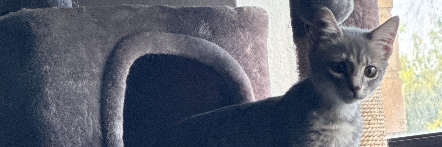 Ormykun's profile banner image
