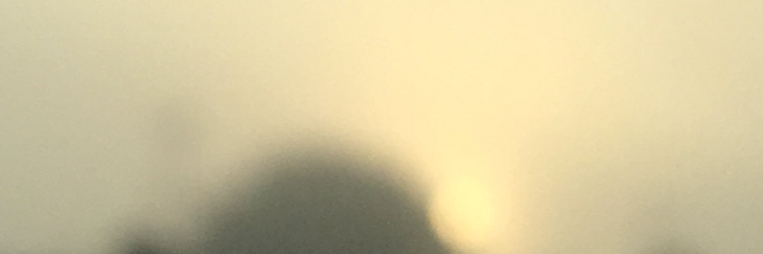 Laytonlover2's profile banner image