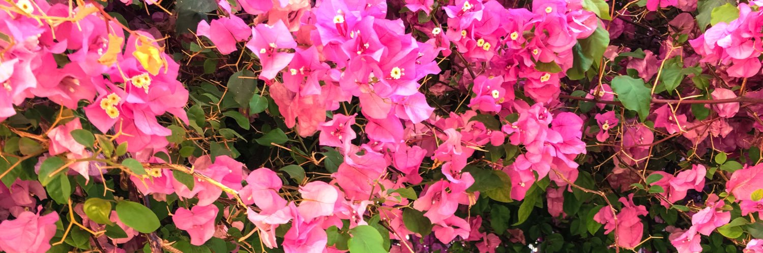 account niet actief banner